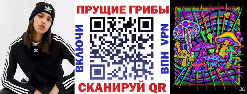 Галлюциногенные грибы прущие грибы Котельниково